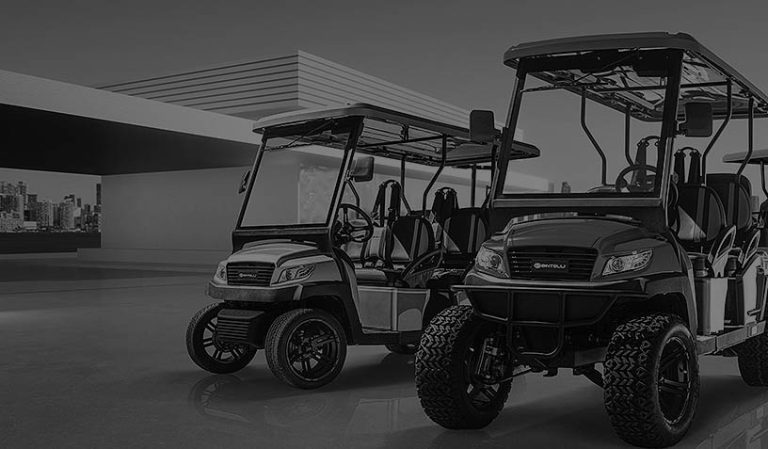 bintelli cart background