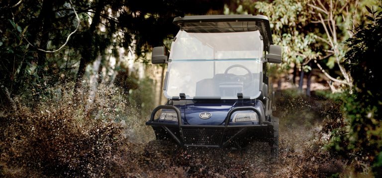 Golf Cart Accessories