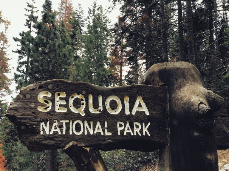 sequoia national park golf cart routes