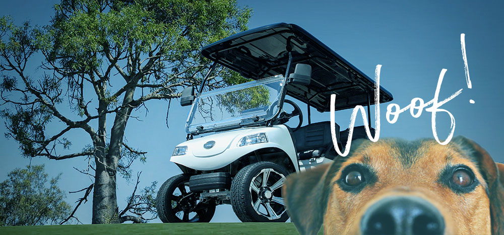 pet-friendly golf cart