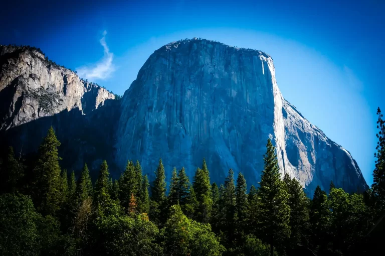 Yosemite golf carts