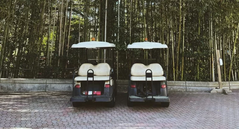 golf cart uses