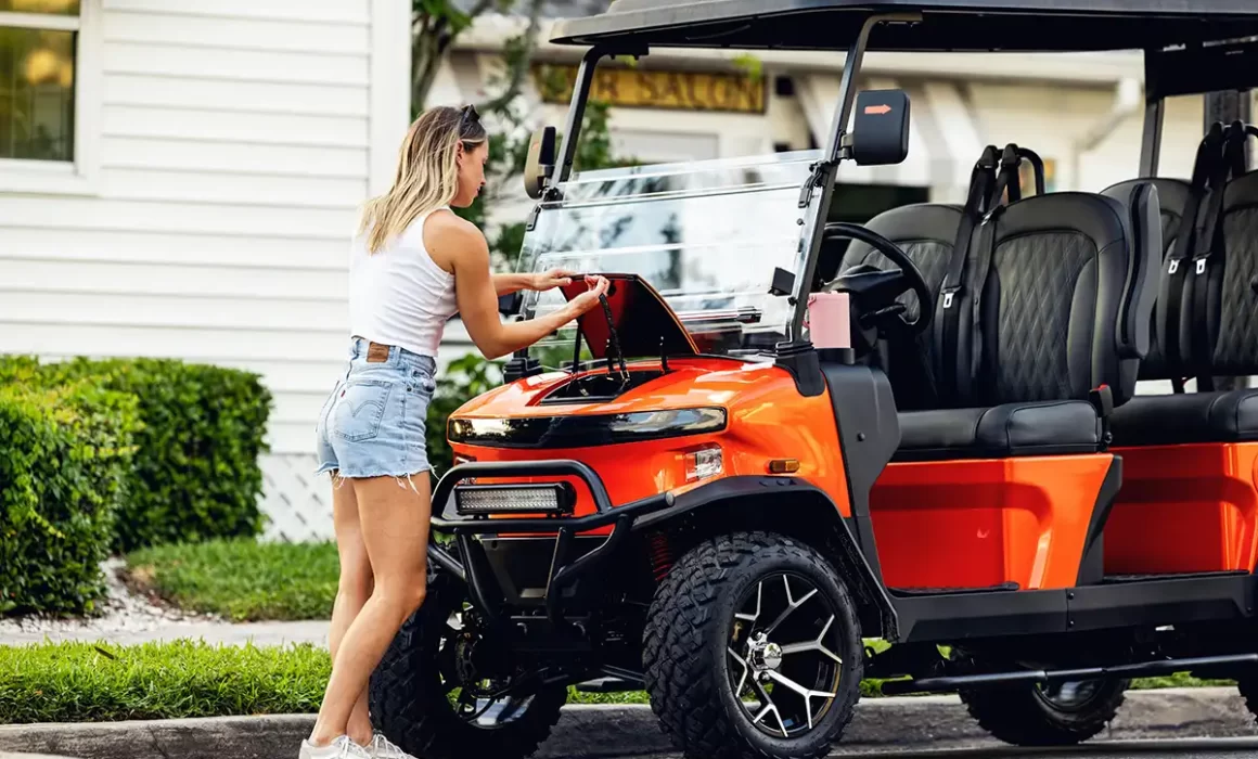 denago rover xl troubleshooting