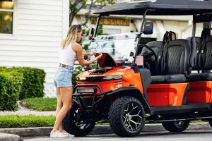 denago rover xl troubleshooting