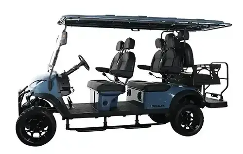 Pulse 6 golf cart